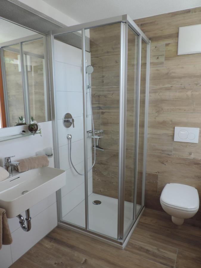 Burgschroffen Guest house *